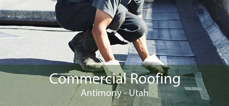 Commercial Roofing Antimony - Utah