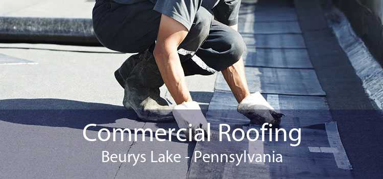 Commercial Roofing Beurys Lake - Pennsylvania
