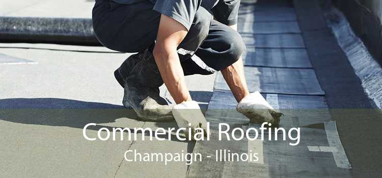 Commercial Roofing Champaign - Illinois