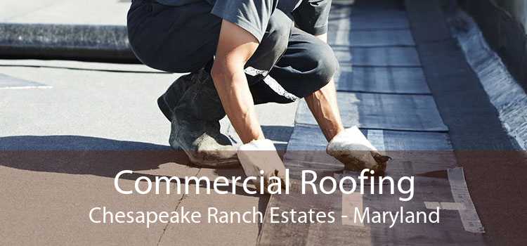 Commercial Roofing Chesapeake Ranch Estates - Maryland