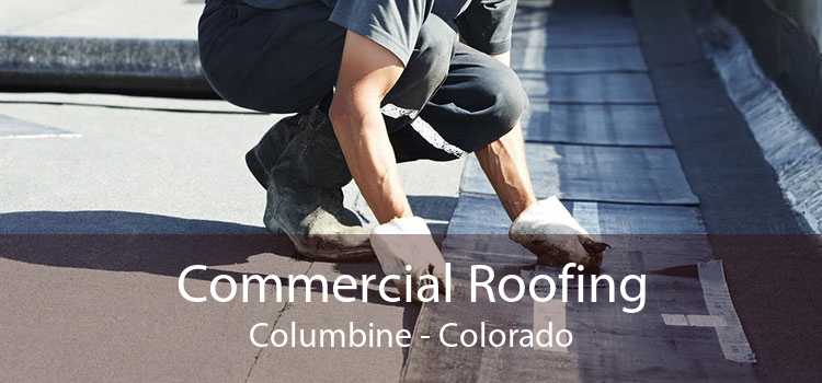 Commercial Roofing Columbine - Colorado