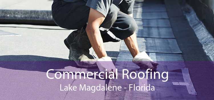 Commercial Roofing Lake Magdalene - Florida