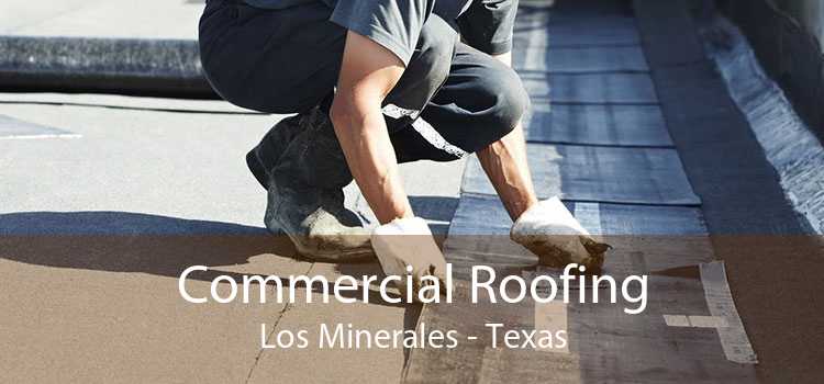 Commercial Roofing Los Minerales - Texas