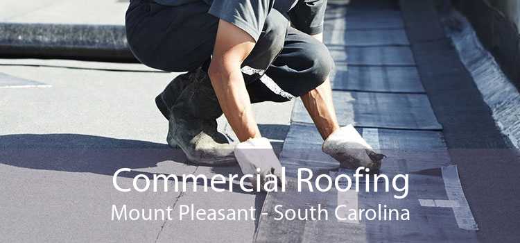 Commercial Roofing Mount Pleasant - South Carolina