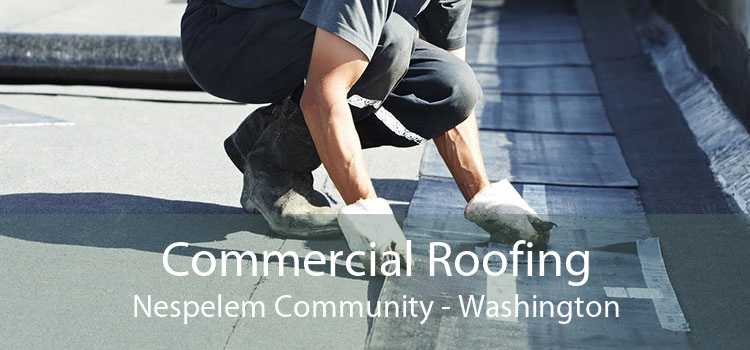 Commercial Roofing Nespelem Community - Washington