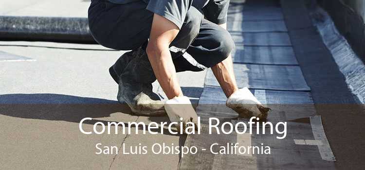 Commercial Roofing San Luis Obispo - California