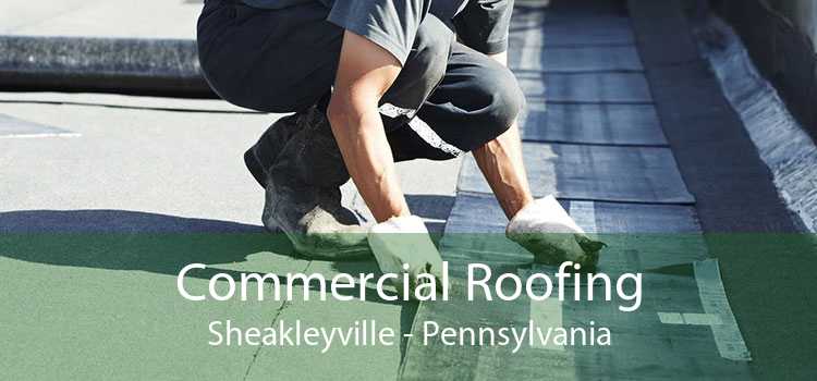 Commercial Roofing Sheakleyville - Pennsylvania