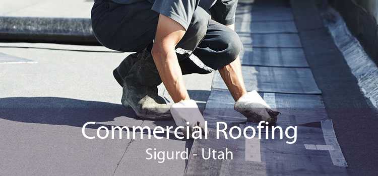 Commercial Roofing Sigurd - Utah