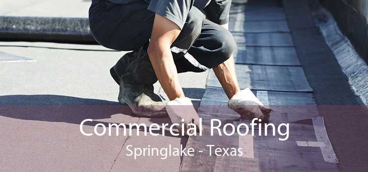 Commercial Roofing Springlake - Texas