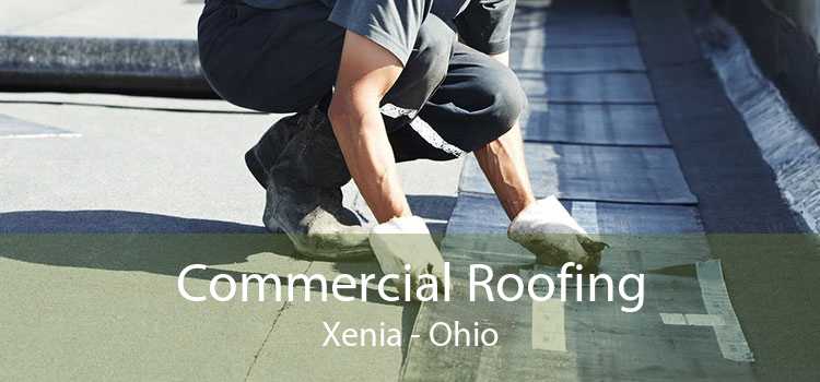 Commercial Roofing Xenia - Ohio