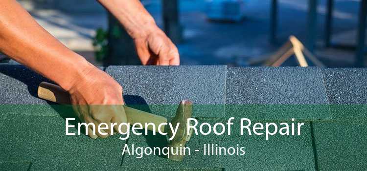 Emergency Roof Repair Algonquin - Illinois