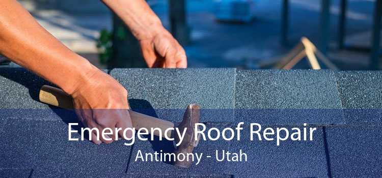 Emergency Roof Repair Antimony - Utah