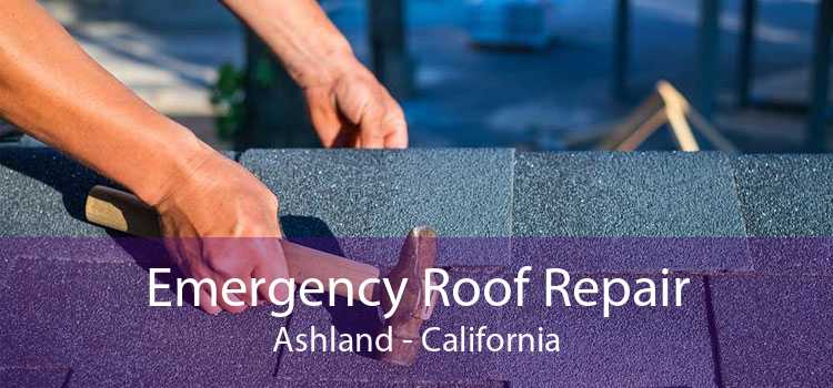Emergency Roof Repair Ashland - California