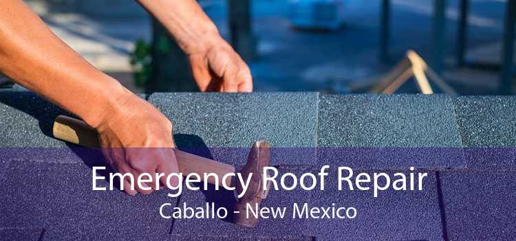 Emergency Roof Repair Caballo - New Mexico