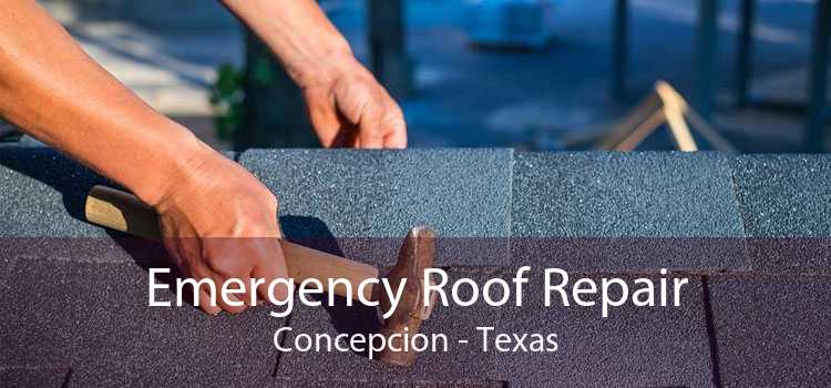 Emergency Roof Repair Concepcion - Texas