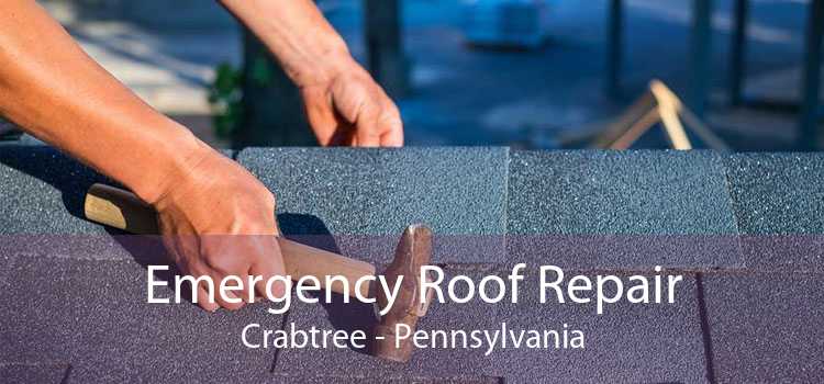 Emergency Roof Repair Crabtree - Pennsylvania