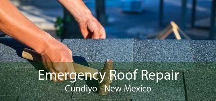 Emergency Roof Repair Cundiyo - New Mexico