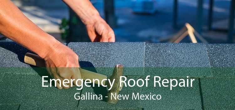Emergency Roof Repair Gallina - New Mexico