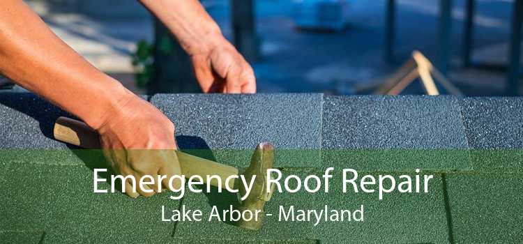 Emergency Roof Repair Lake Arbor - Maryland
