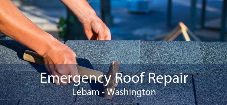 Emergency Roof Repair Lebam - Washington