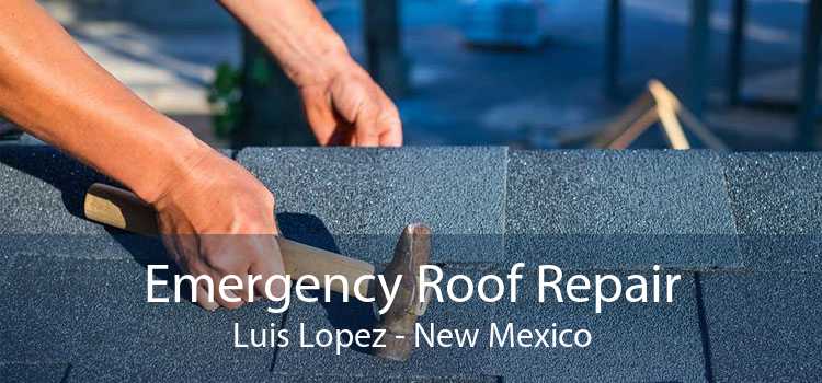 Emergency Roof Repair Luis Lopez - New Mexico