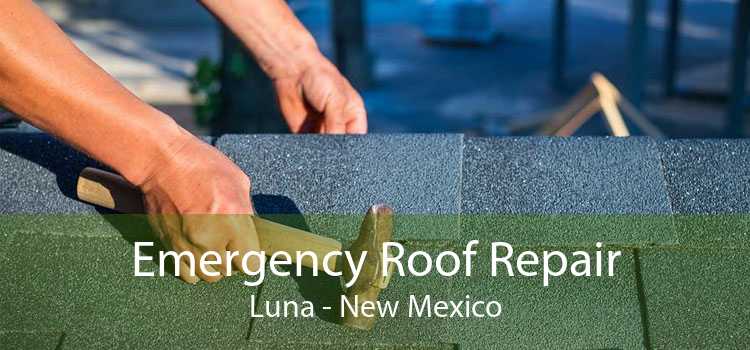 Emergency Roof Repair Luna - New Mexico