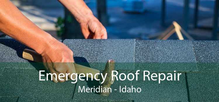 Emergency Roof Repair Meridian - Idaho