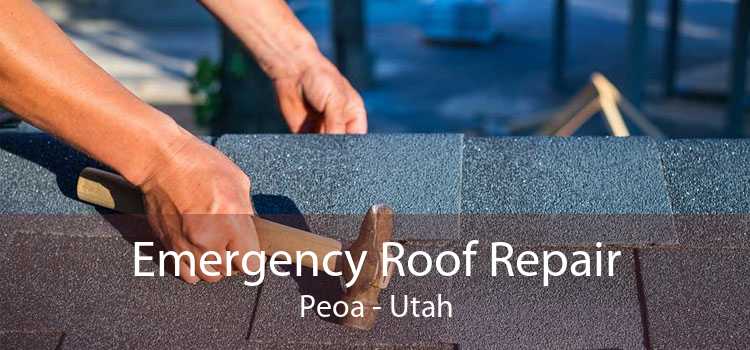 Emergency Roof Repair Peoa - Utah