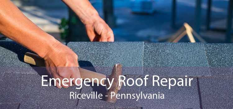 Emergency Roof Repair Riceville - Pennsylvania