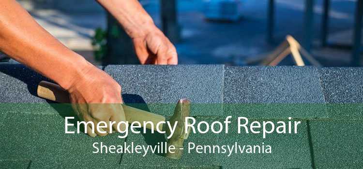 Emergency Roof Repair Sheakleyville - Pennsylvania