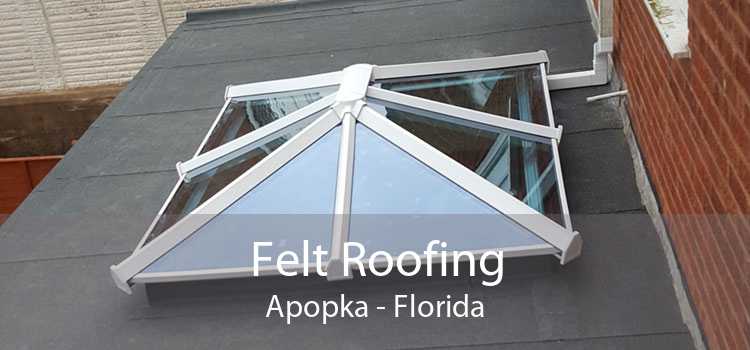 Felt Roofing Apopka - Florida