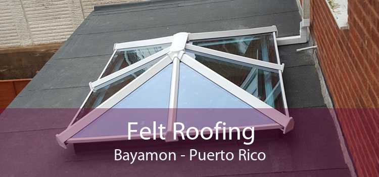 Felt Roofing Bayamon - Puerto Rico