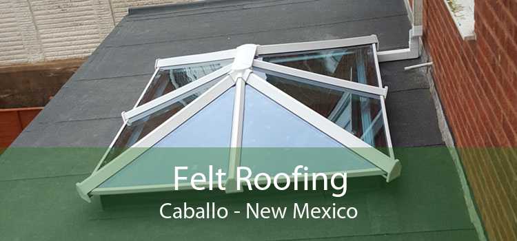 Felt Roofing Caballo - New Mexico