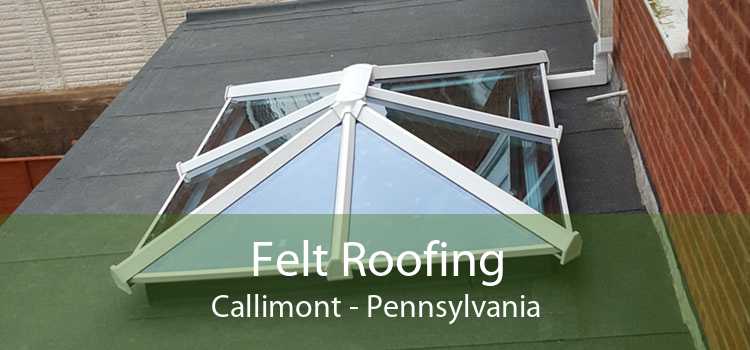 Felt Roofing Callimont - Pennsylvania