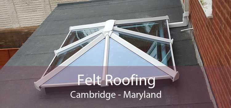 Felt Roofing Cambridge - Maryland