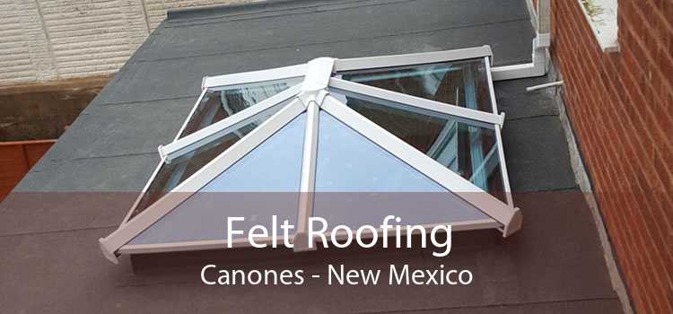 Felt Roofing Canones - New Mexico