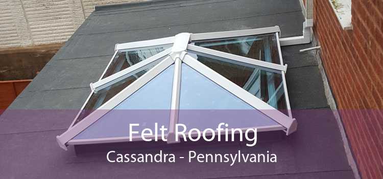 Felt Roofing Cassandra - Pennsylvania