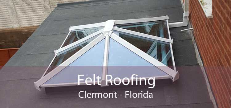 Felt Roofing Clermont - Florida