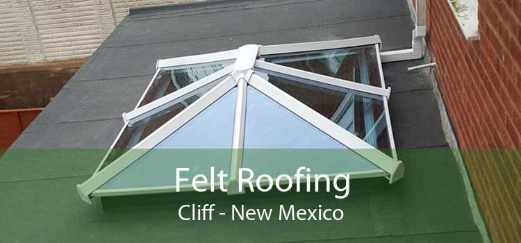 Felt Roofing Cliff - New Mexico