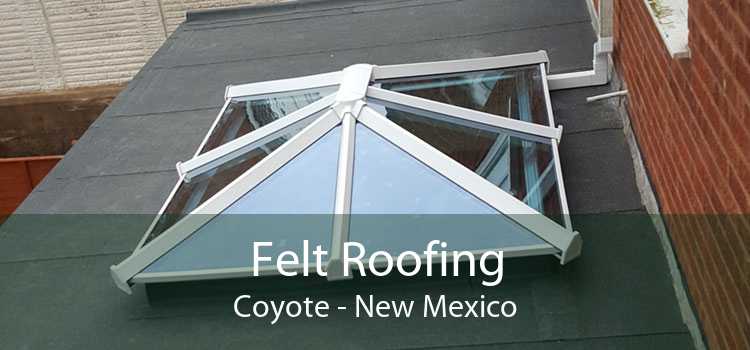 Felt Roofing Coyote - New Mexico