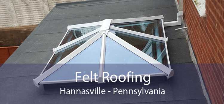 Felt Roofing Hannasville - Pennsylvania