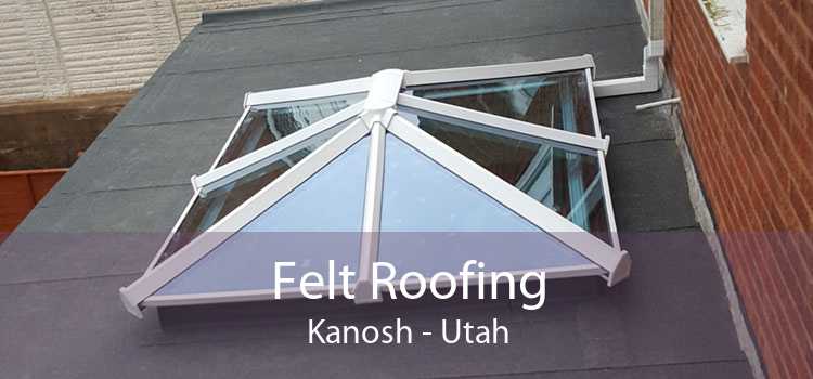 Felt Roofing Kanosh - Utah