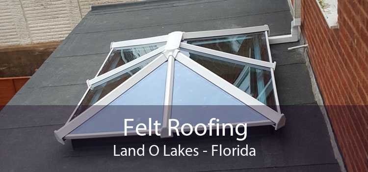 Felt Roofing Land O Lakes - Florida