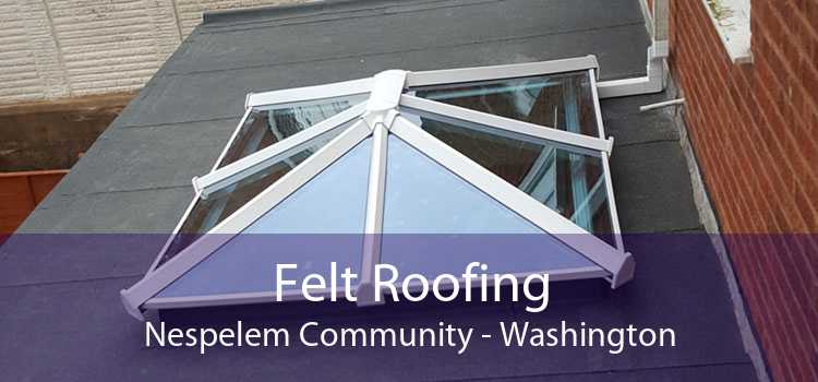 Felt Roofing Nespelem Community - Washington