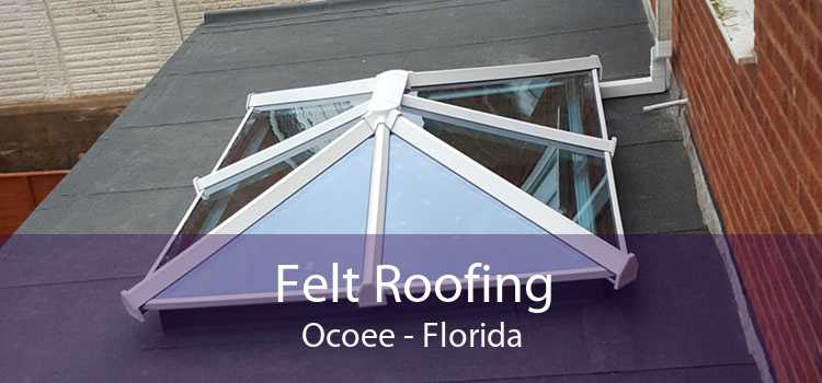 Felt Roofing Ocoee - Florida
