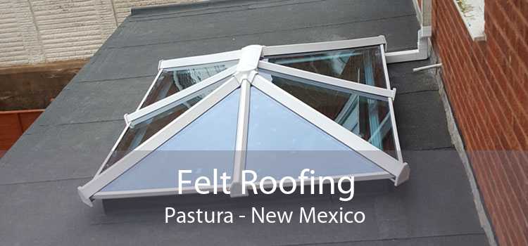 Felt Roofing Pastura - New Mexico