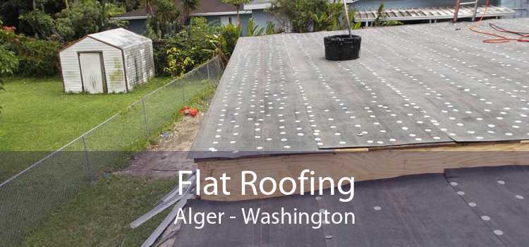 Flat Roofing Alger - Washington