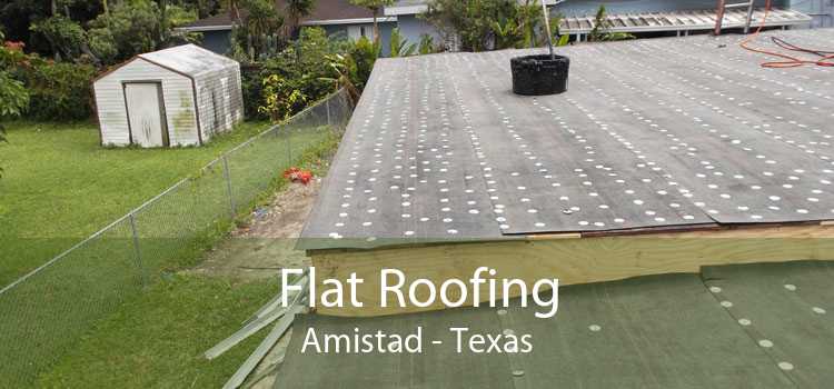 Flat Roofing Amistad - Texas
