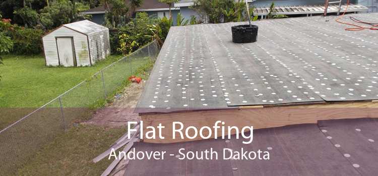 Flat Roofing Andover - South Dakota