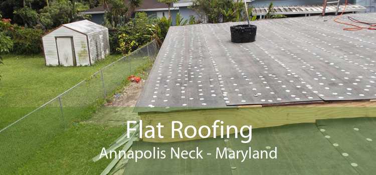Flat Roofing Annapolis Neck - Maryland